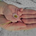 mano de adulto y sobre ella mano de un bebe que sostiene una flor. mente no dual.