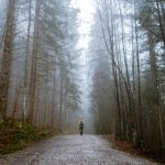 Diferencias entre No dualidad y coaching ontológico. Paisaje camino entre arboles y figura de hombre al final.